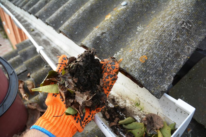Gutter Inspection